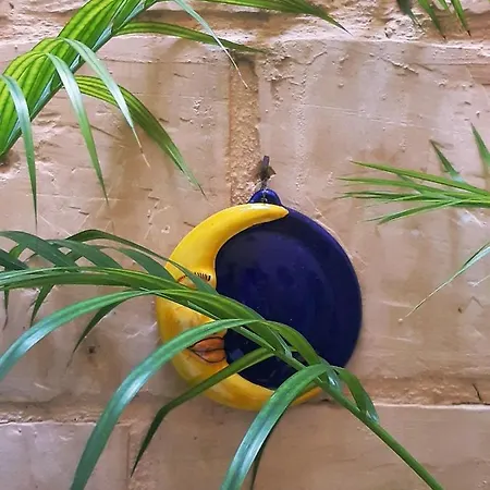 Apartment Myrtle - Authentic Experience