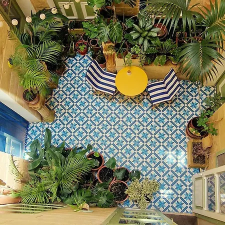 Apartment Myrtle - Authentic Experience